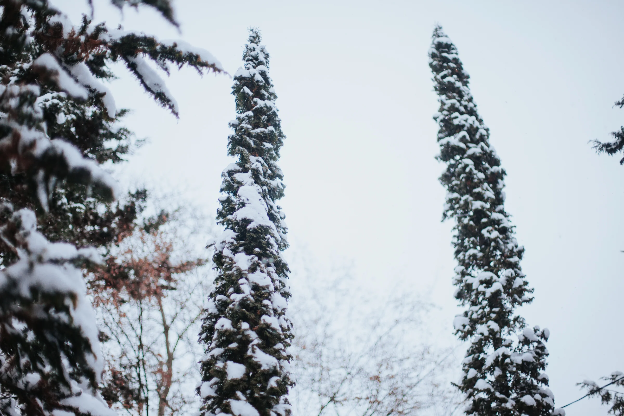 Winter_TheSanctuary_favs-23.jpg