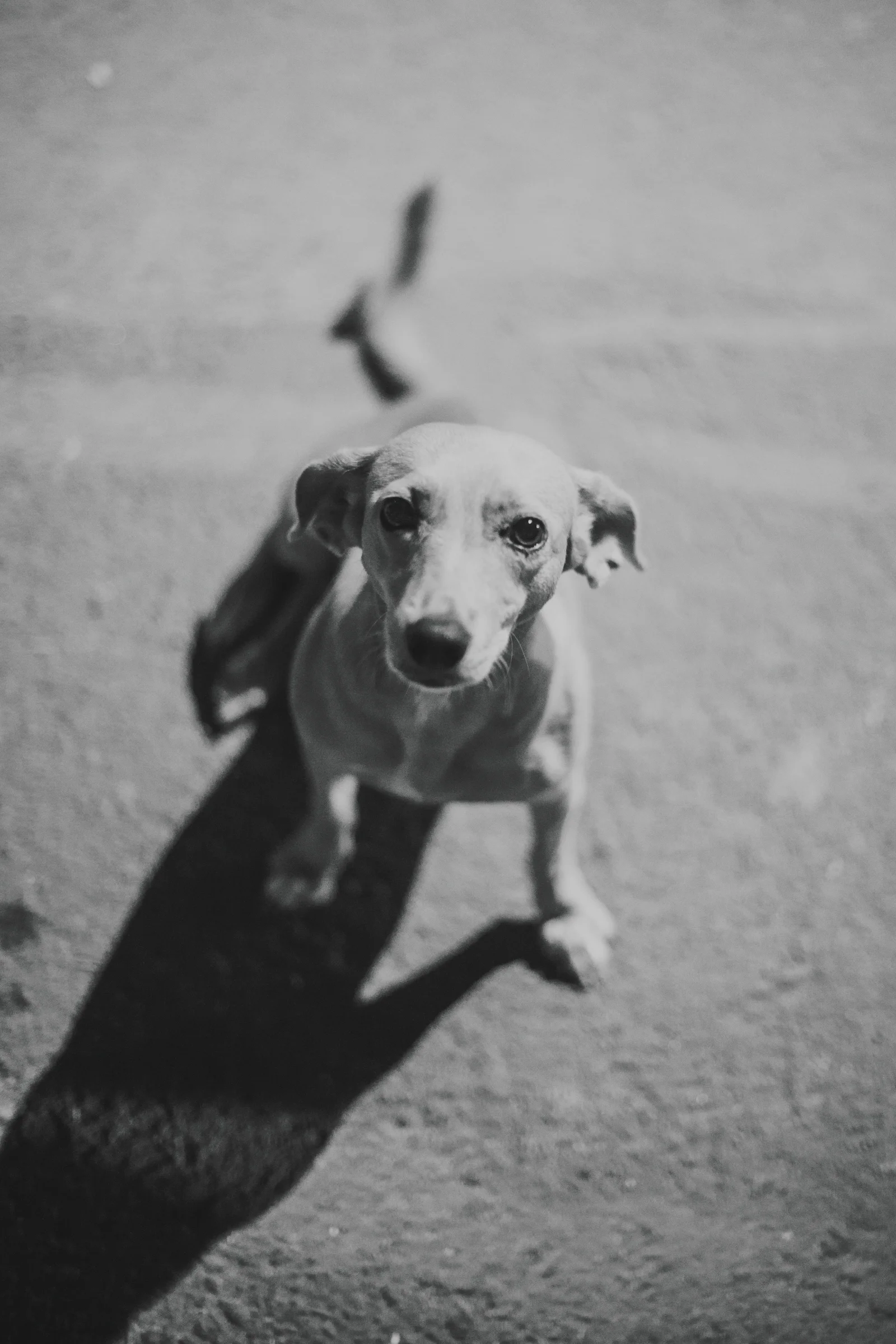meganlendmanphotography_lacalledelosartistas-31.jpg