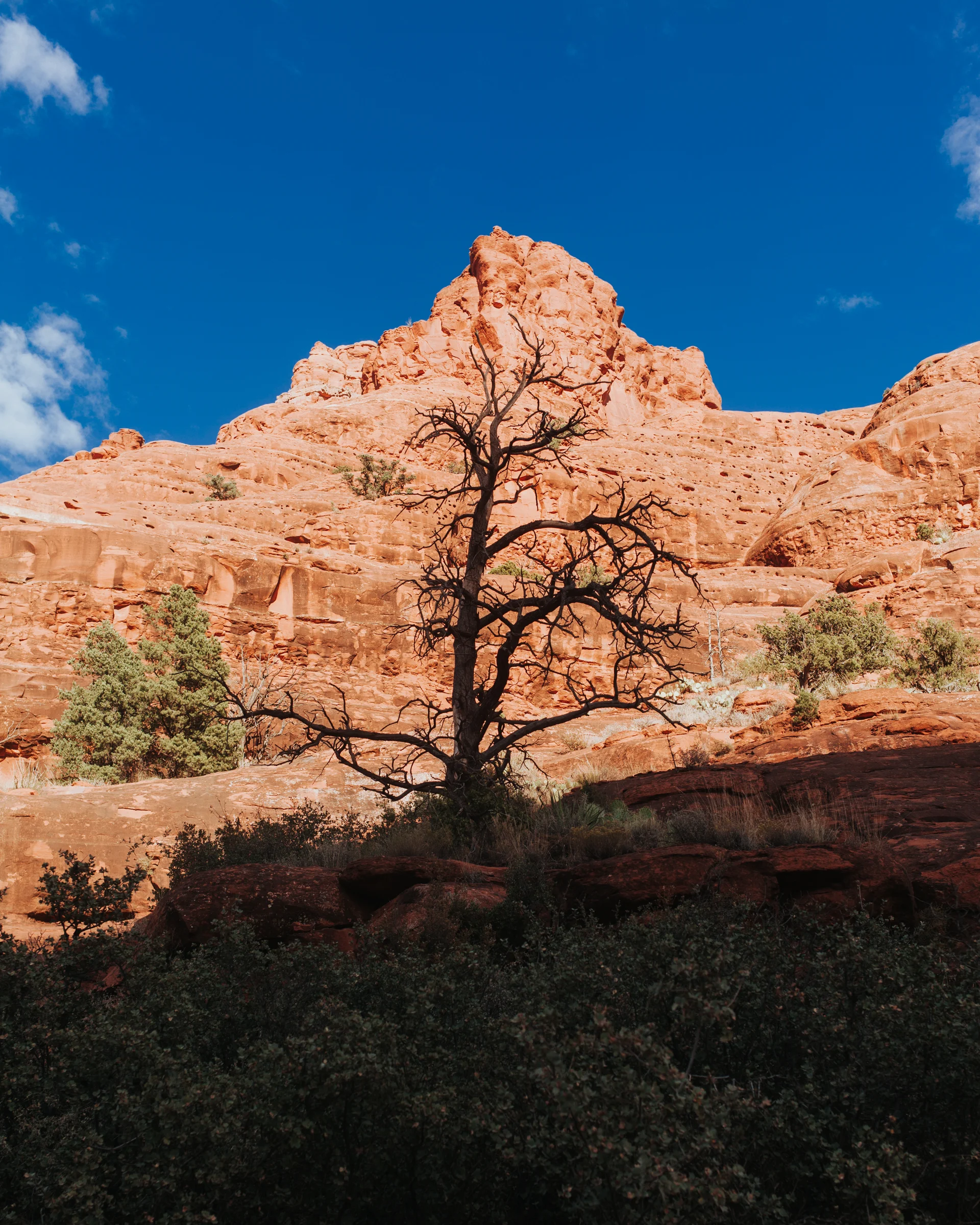 arizonarising_blogfavorites-58.jpg