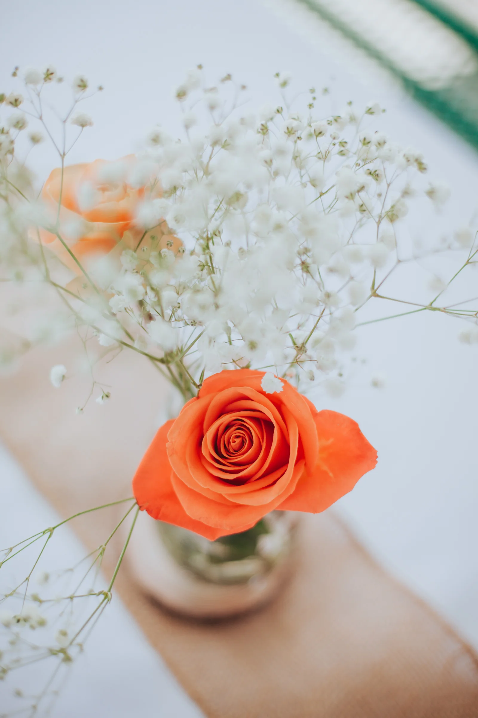 meganlendmanphotography_client_ceniqueandjason-1.jpg