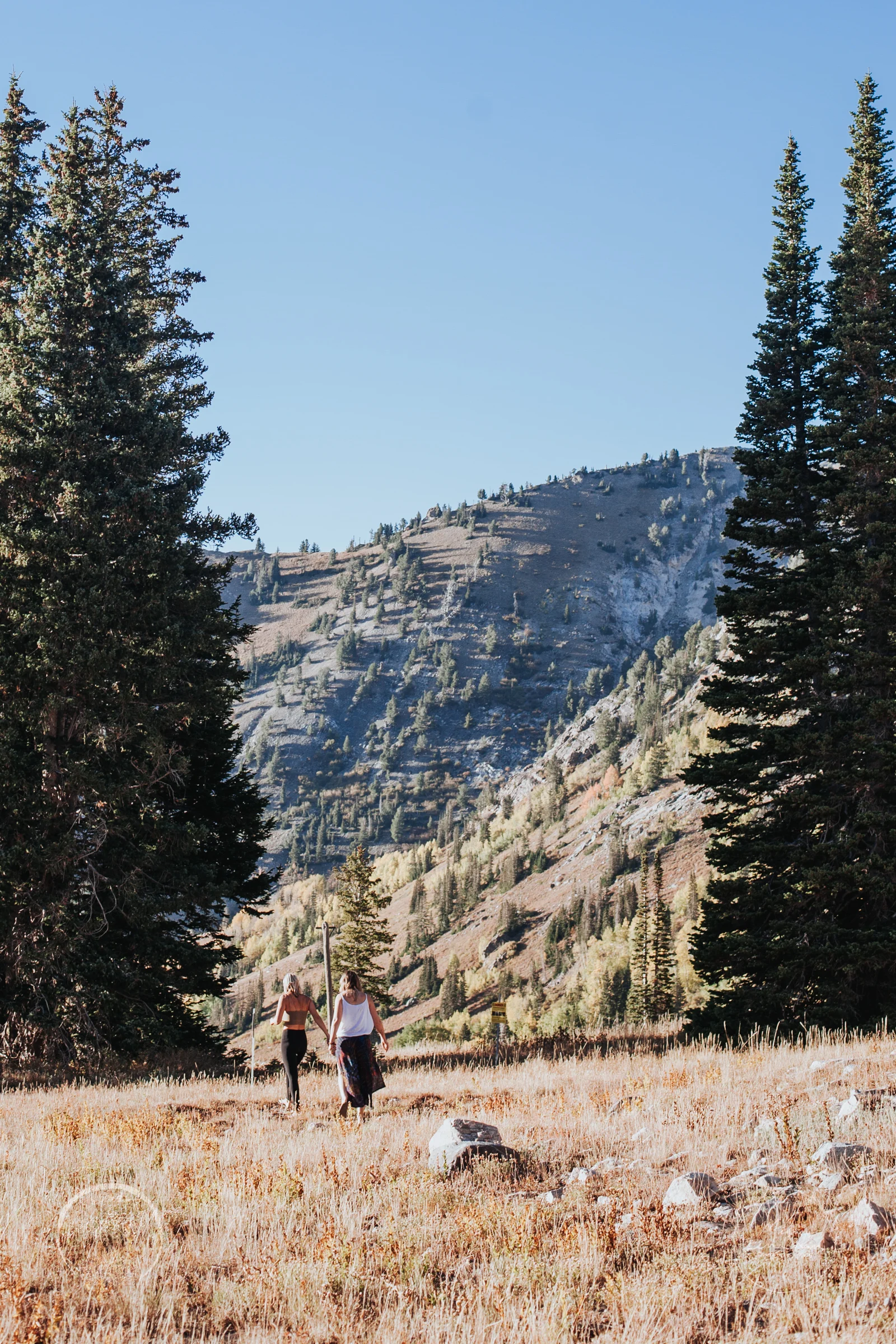 meganlendmanphotography_goddessceremony_mountains_wm-21.jpg
