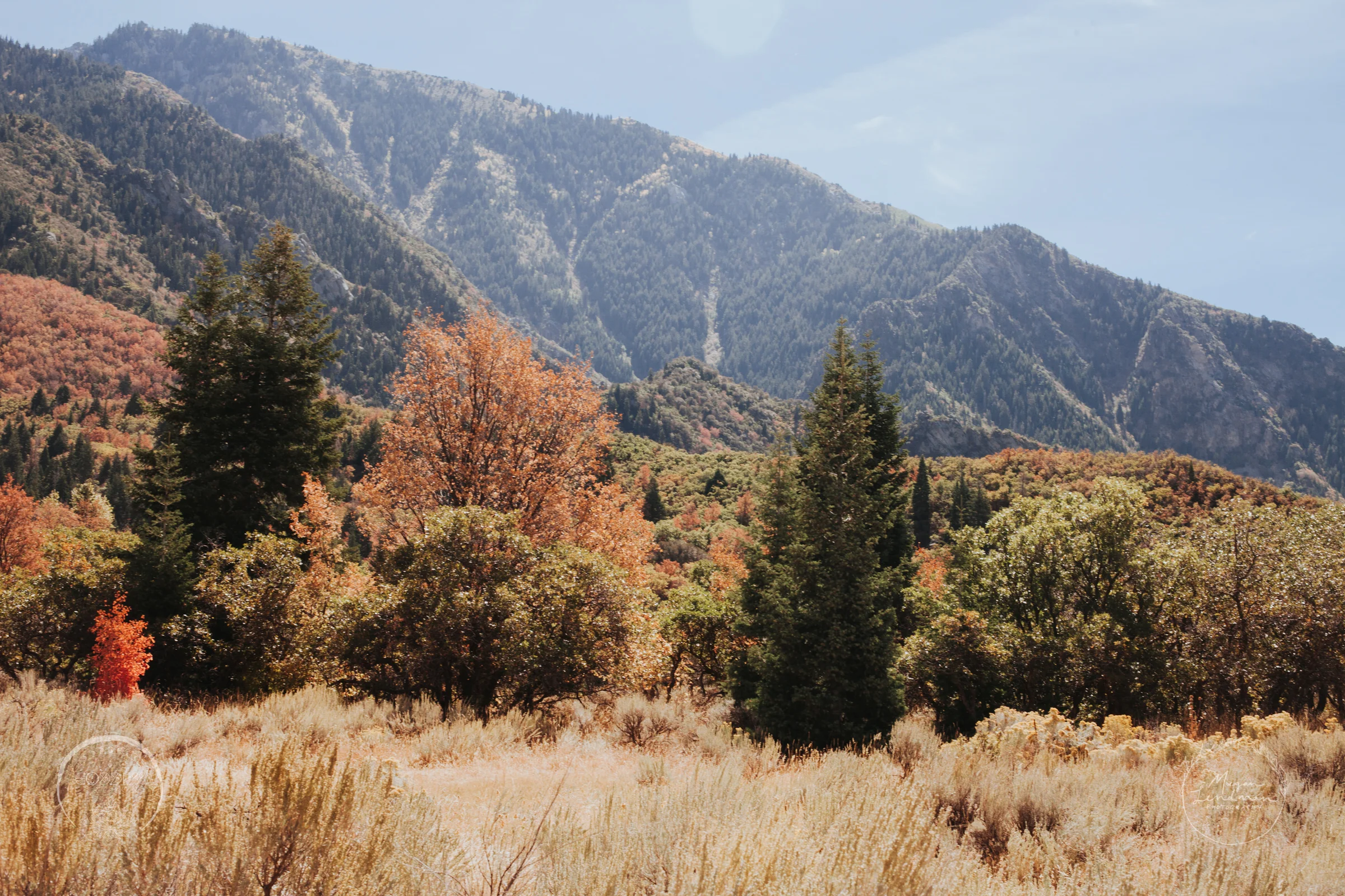 meganlendmanphotography_goddessceremony_mountains_wm-28.jpg