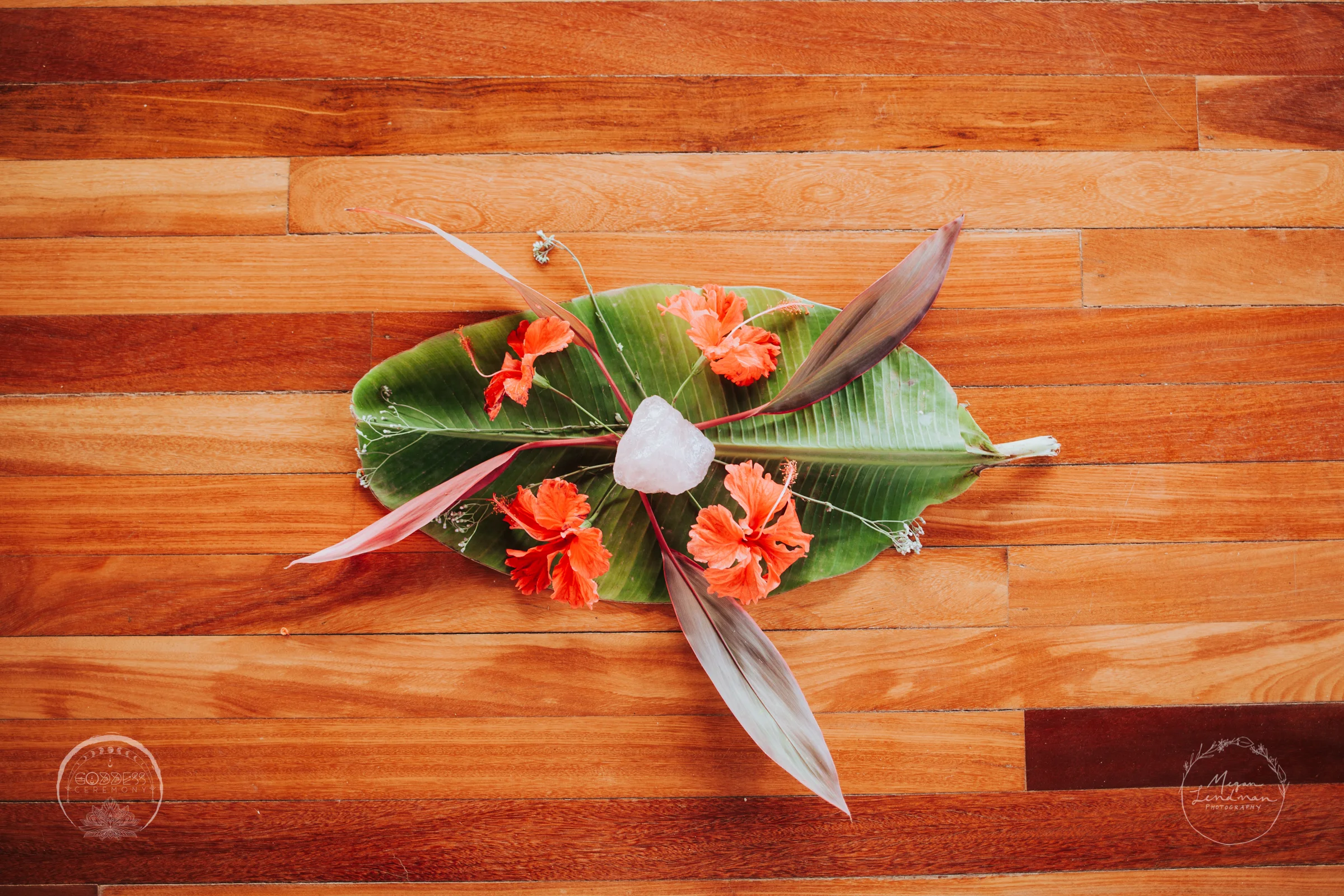 meganlendmanphotography_goddessceremony_jungle_wm-10.jpg