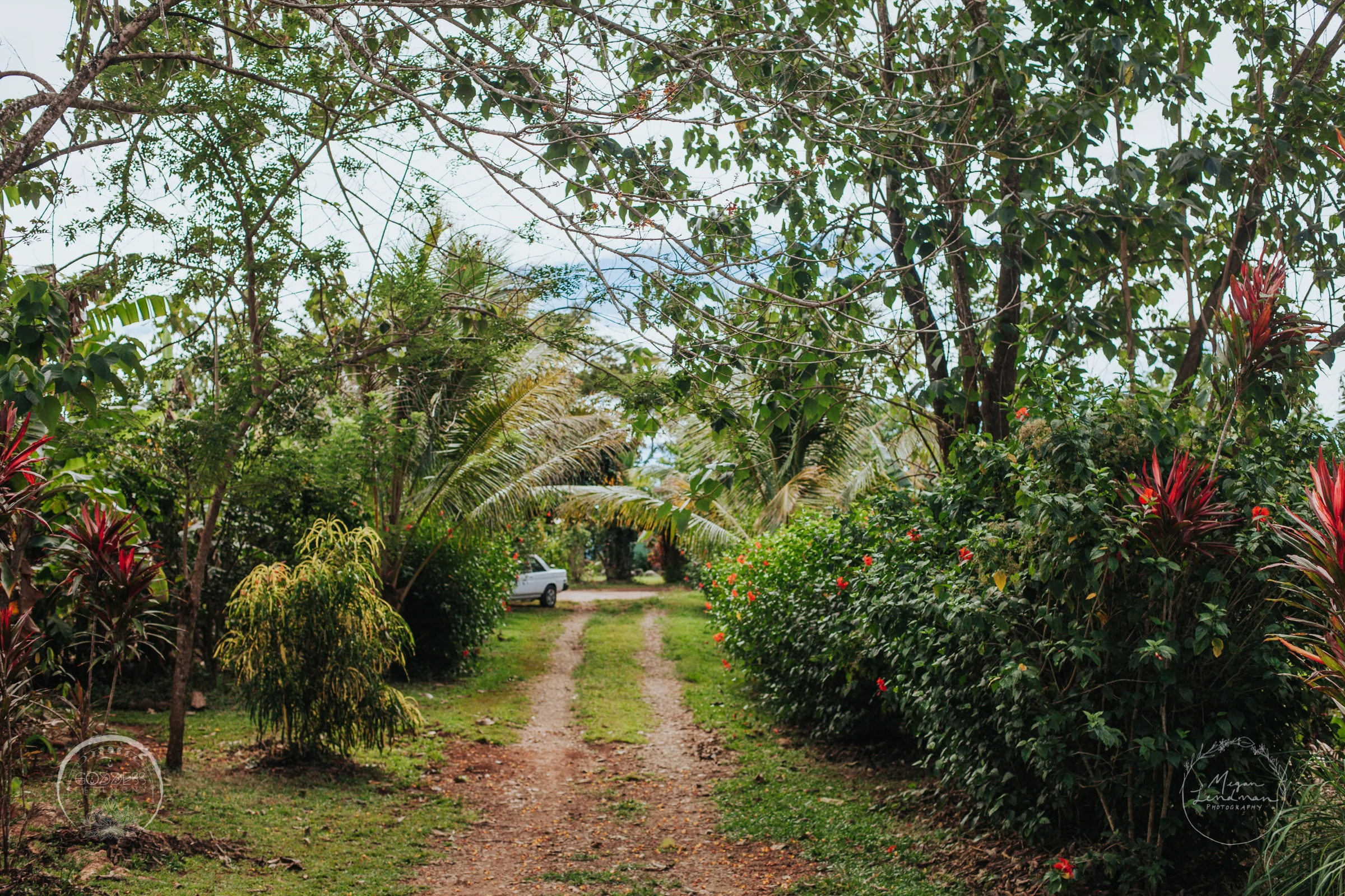 meganlendmanphotography_goddessceremony_jungle_wm-12.jpg