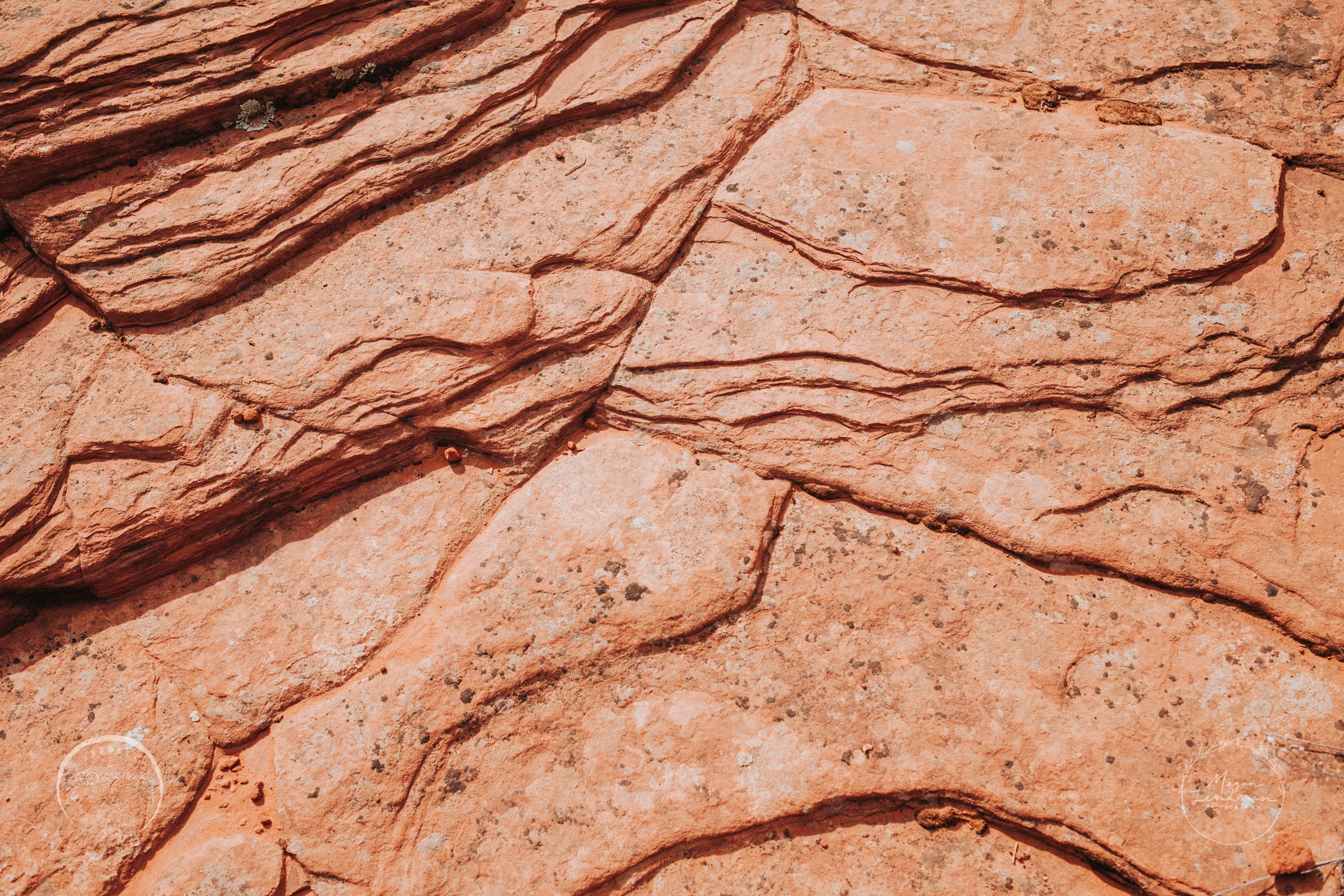 meganlendmanphotography_goddessceremony_desert_wm-20.jpg