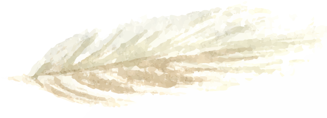 Accent 13.png