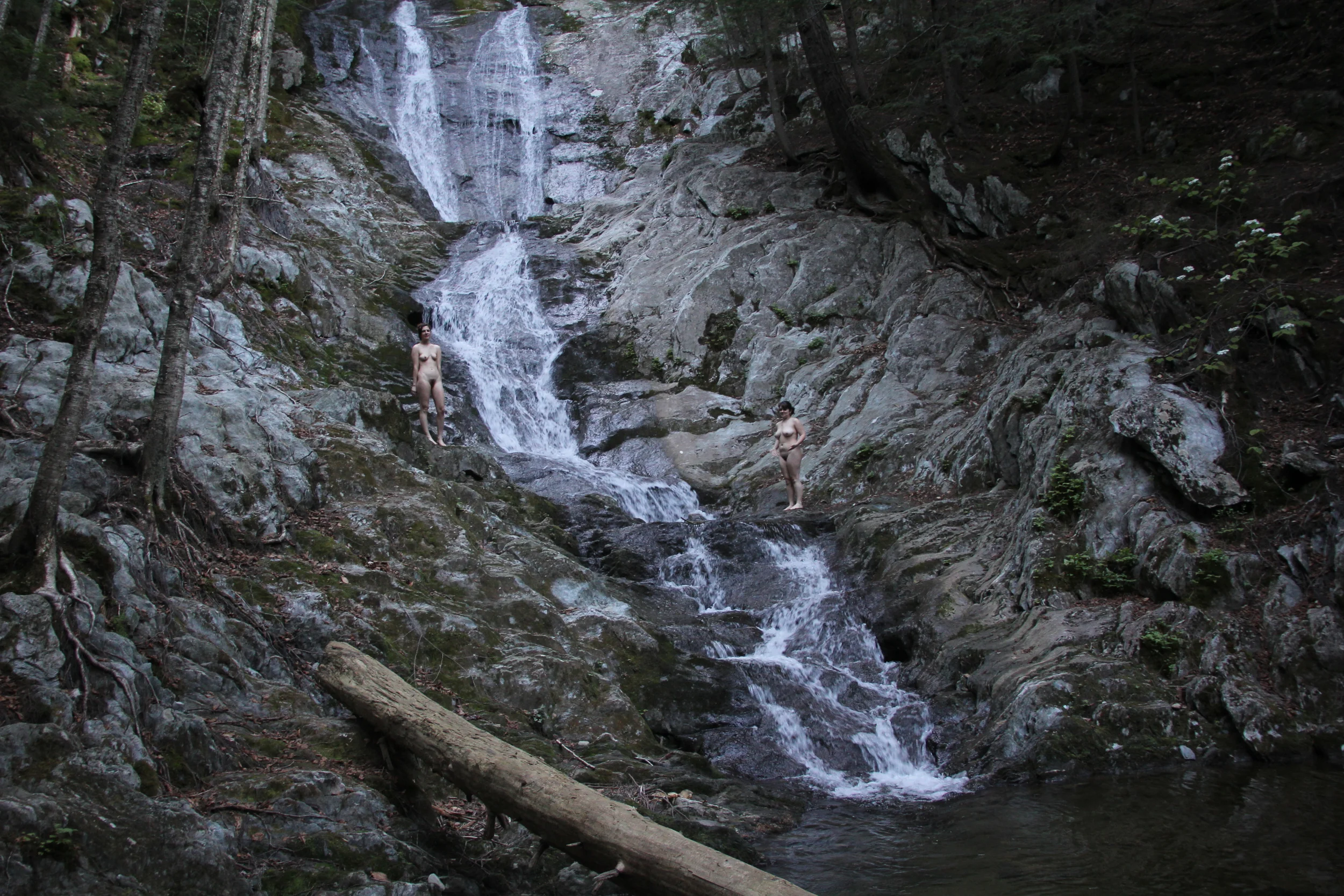 IMG_7852.JPG