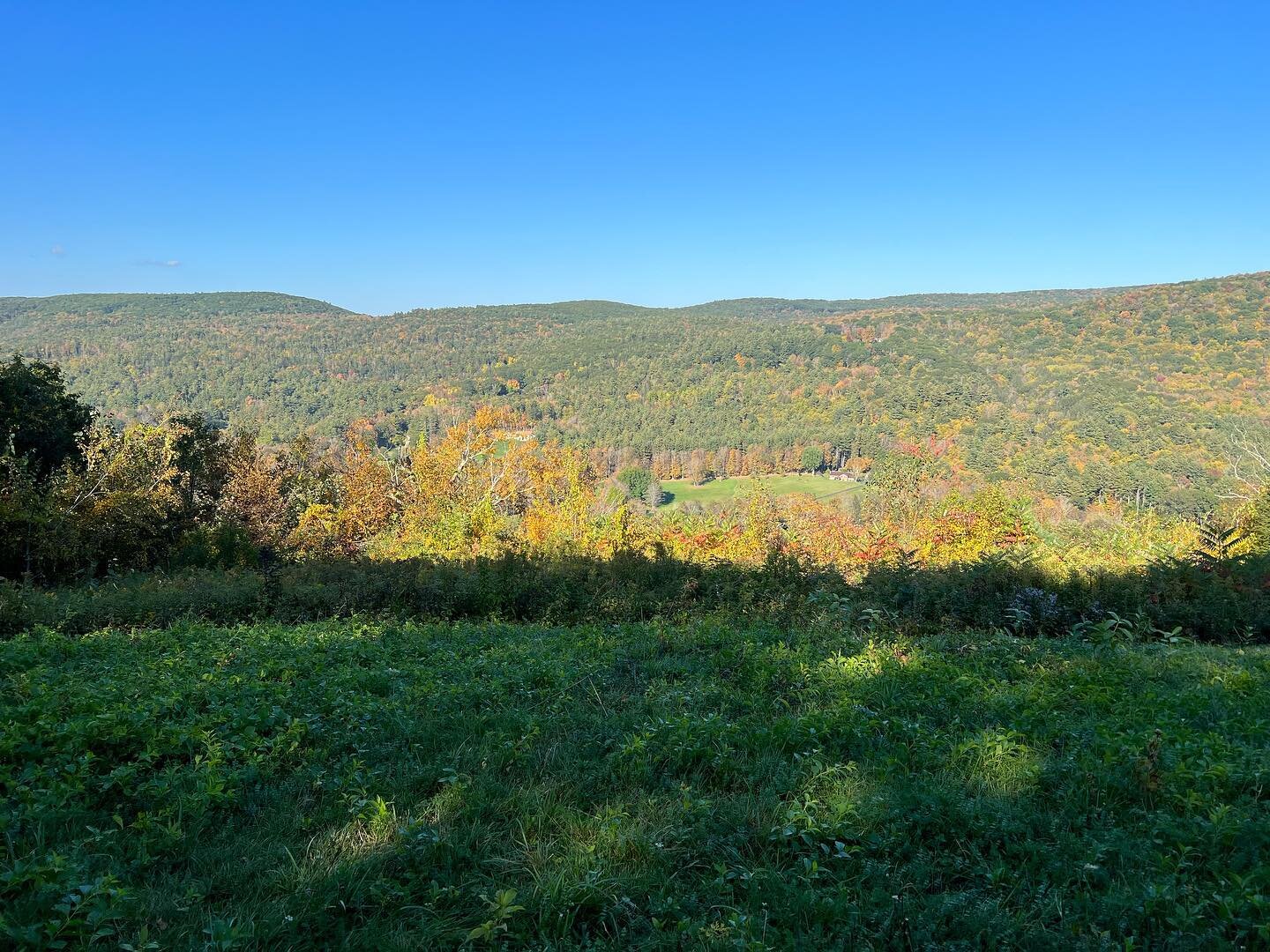 An unexpected and (mercifully!) symptomless COVID diagnosis just blessed me with a week at home in which I got to go for a walk or hike every day in the peak fall bliss 🍂