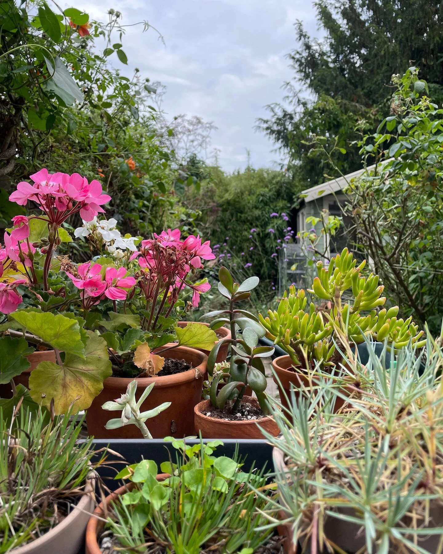 Packing up the garden