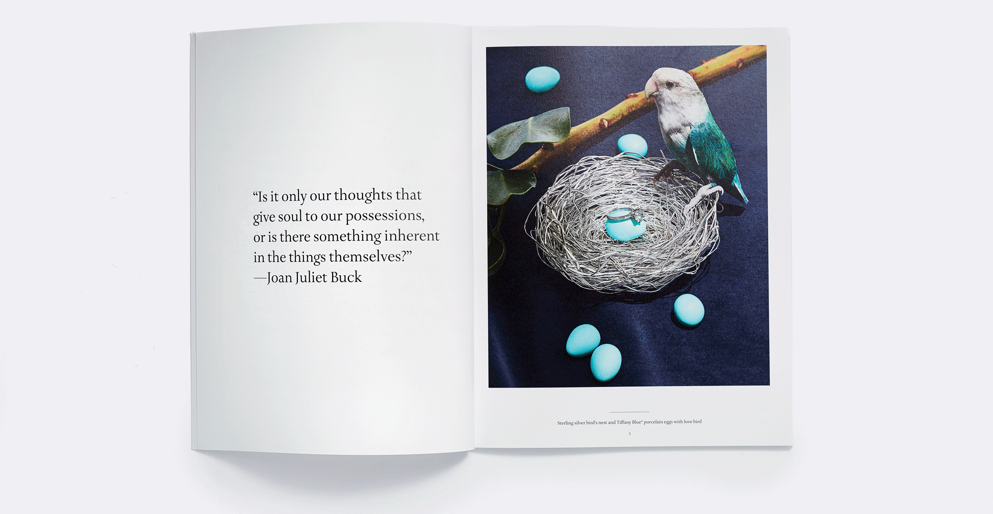 Product launch catalog