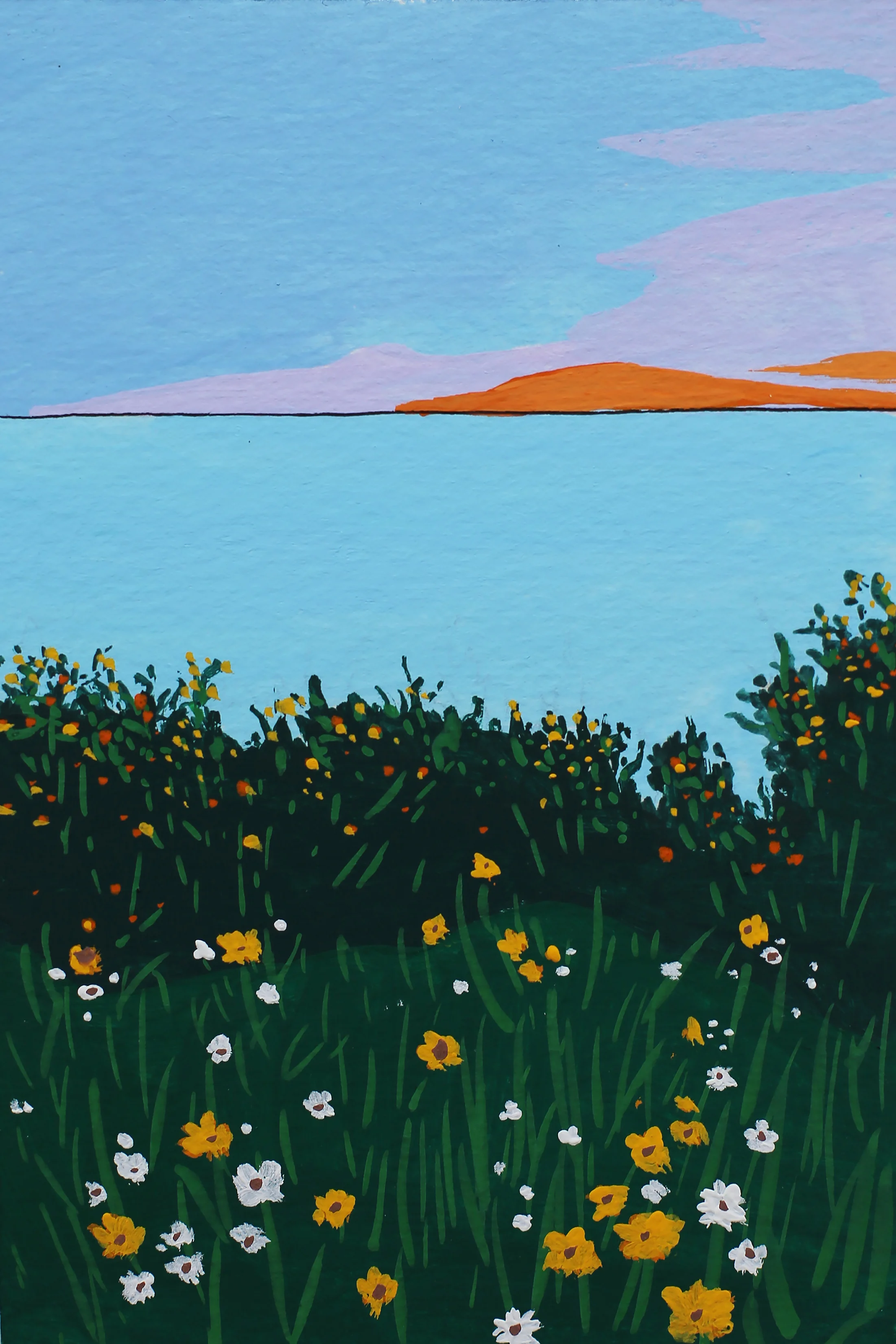 Flowering Bluff