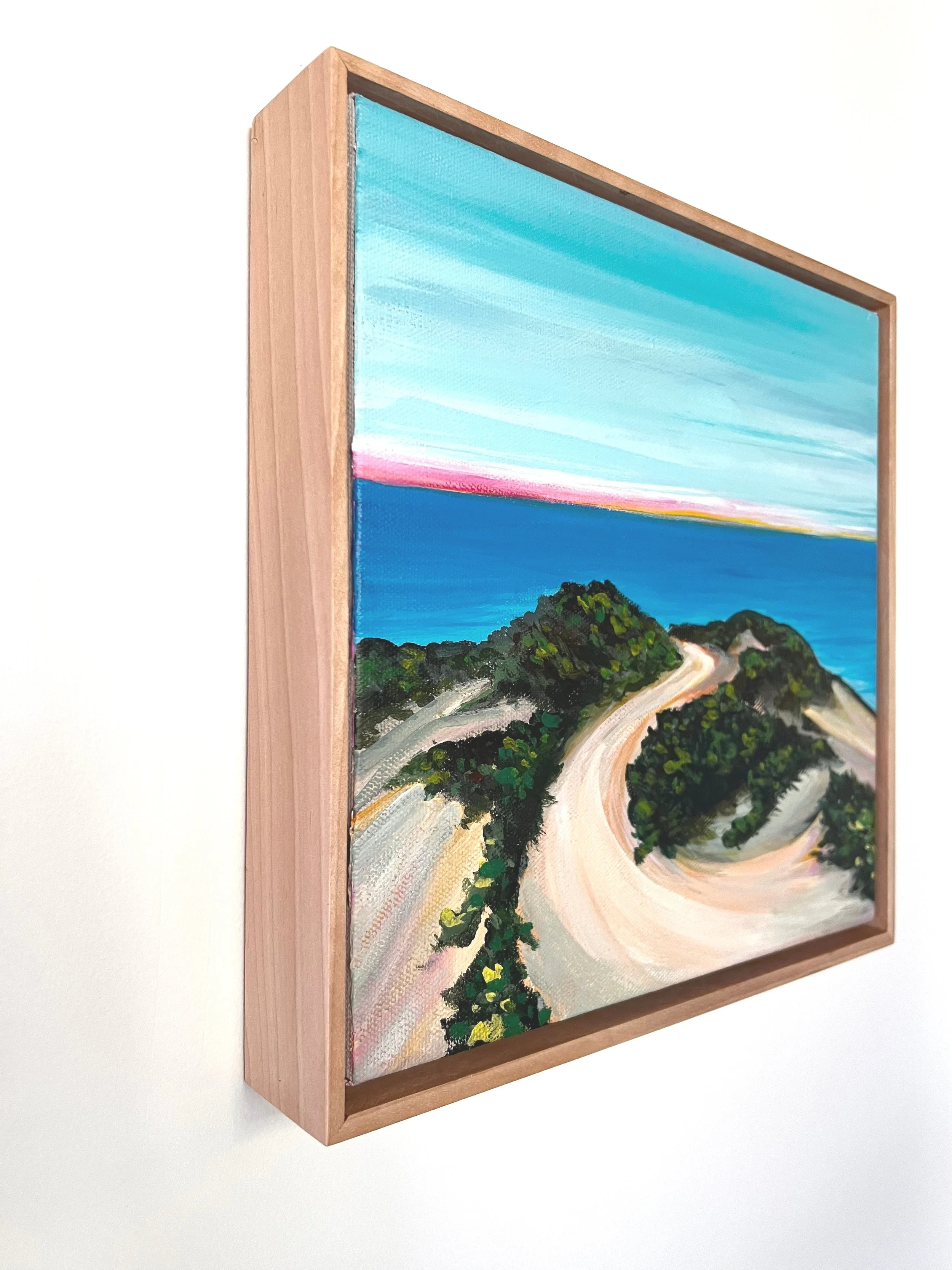 dune_path_framed_2_caryn_phipps.jpg