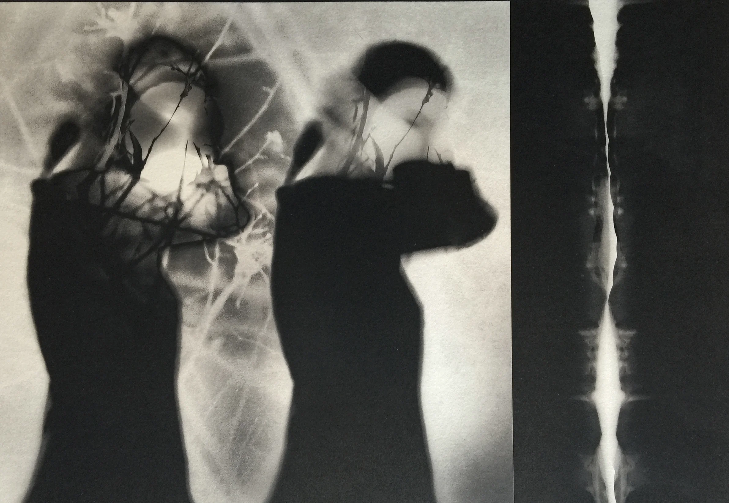 Encountering Isamu Noguchi