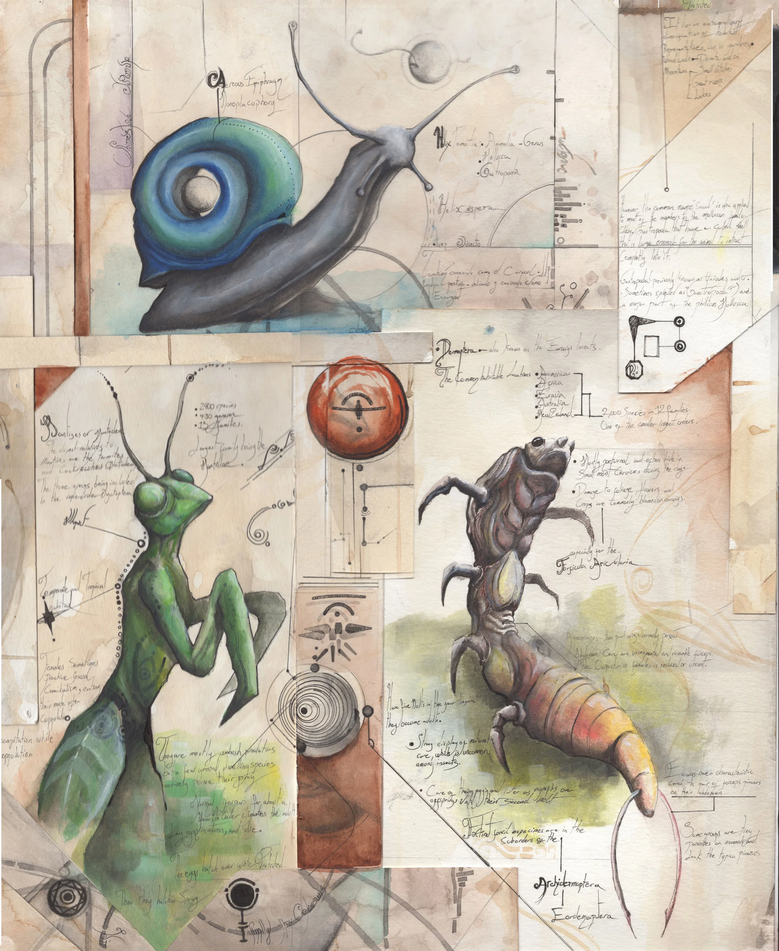 snail.jpg