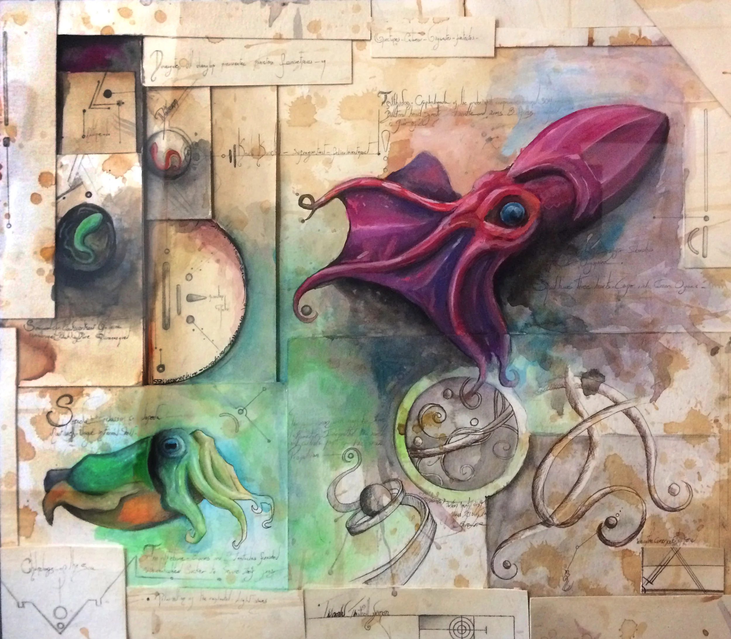 squid.jpg