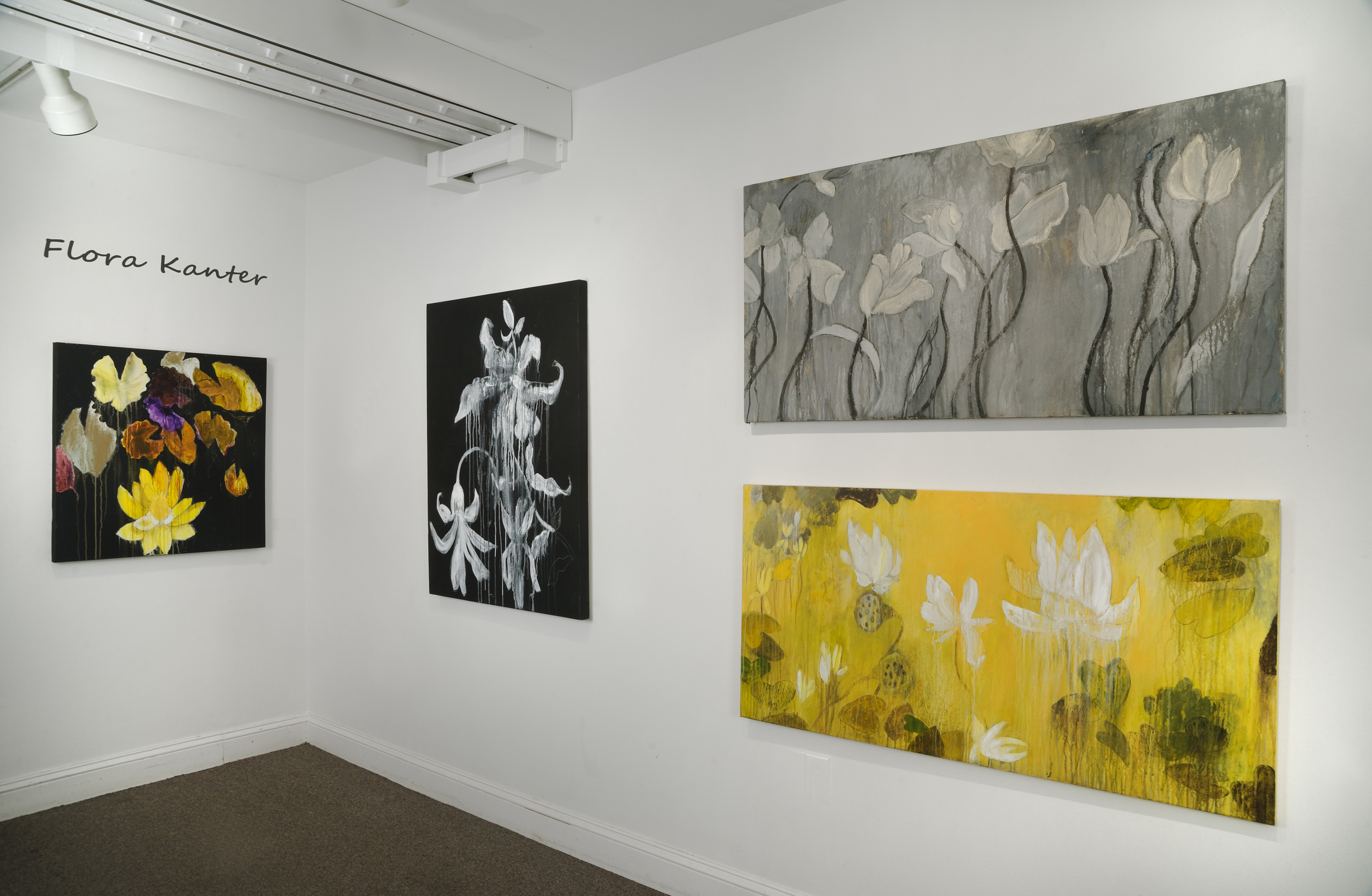 "The Nature of Nature" duo exhibition at Studio Gallery, 2013.