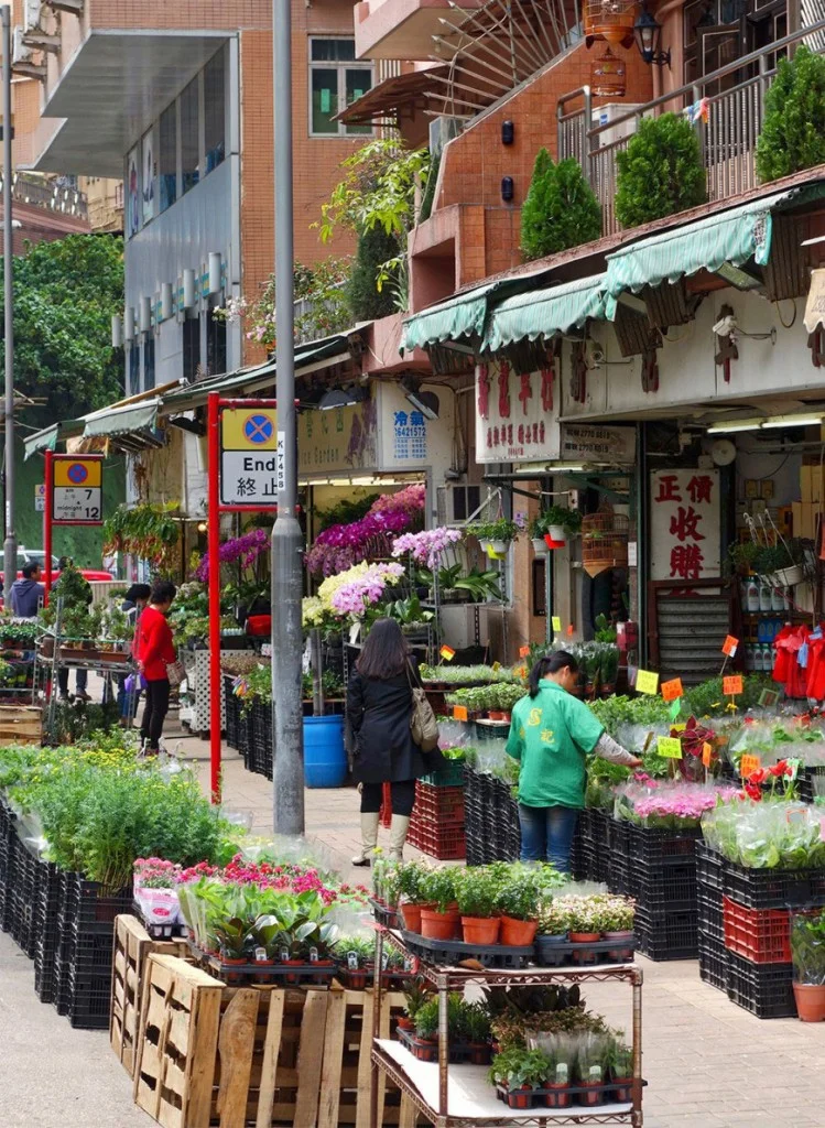 hong-kong-flower-market-bird-market-starting-with-a-blog-12-870x1189-749x1024-1.jpg