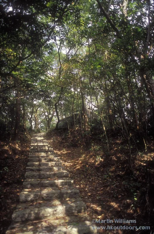 wong-nai-chung-gap-trail.jpg