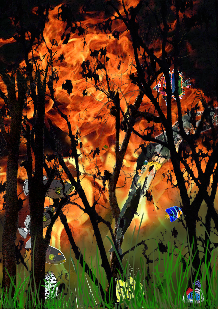 Fire and Trees