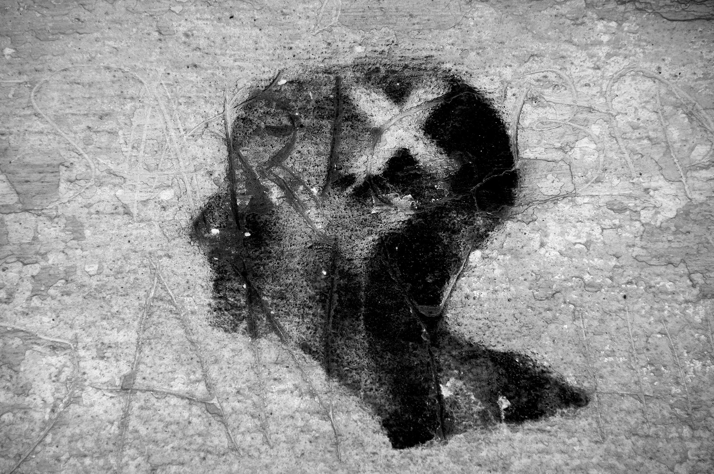 DSC_0122(Head)Edit.jpg