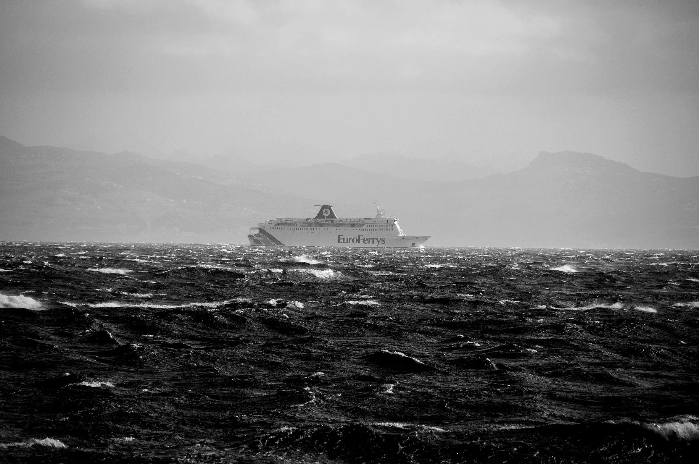 DSC_0482Euroffery.jpg