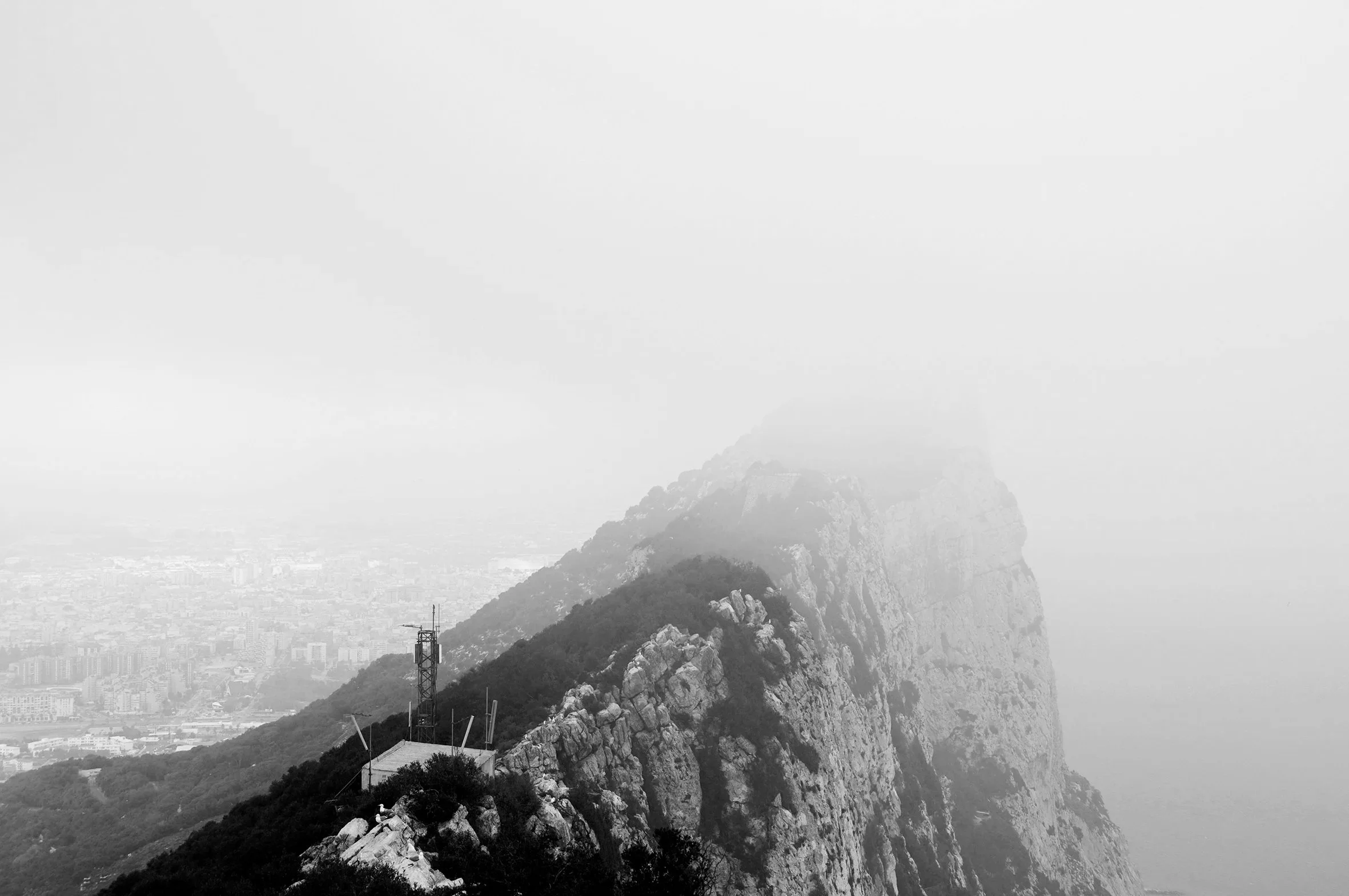 DSC_0186(Summit Fog Master Edit Final).jpg