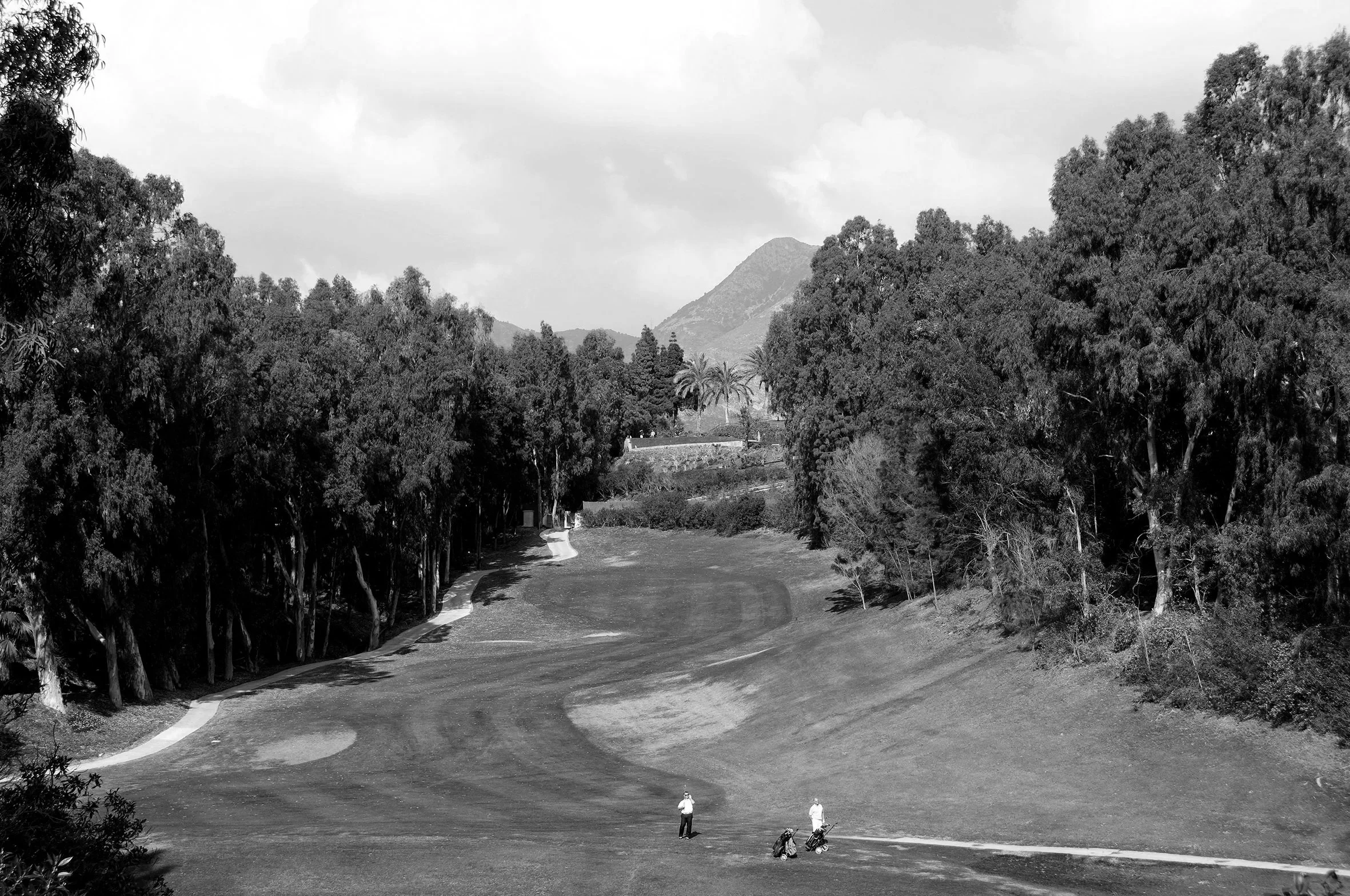 DSC_0921Golf.jpg
