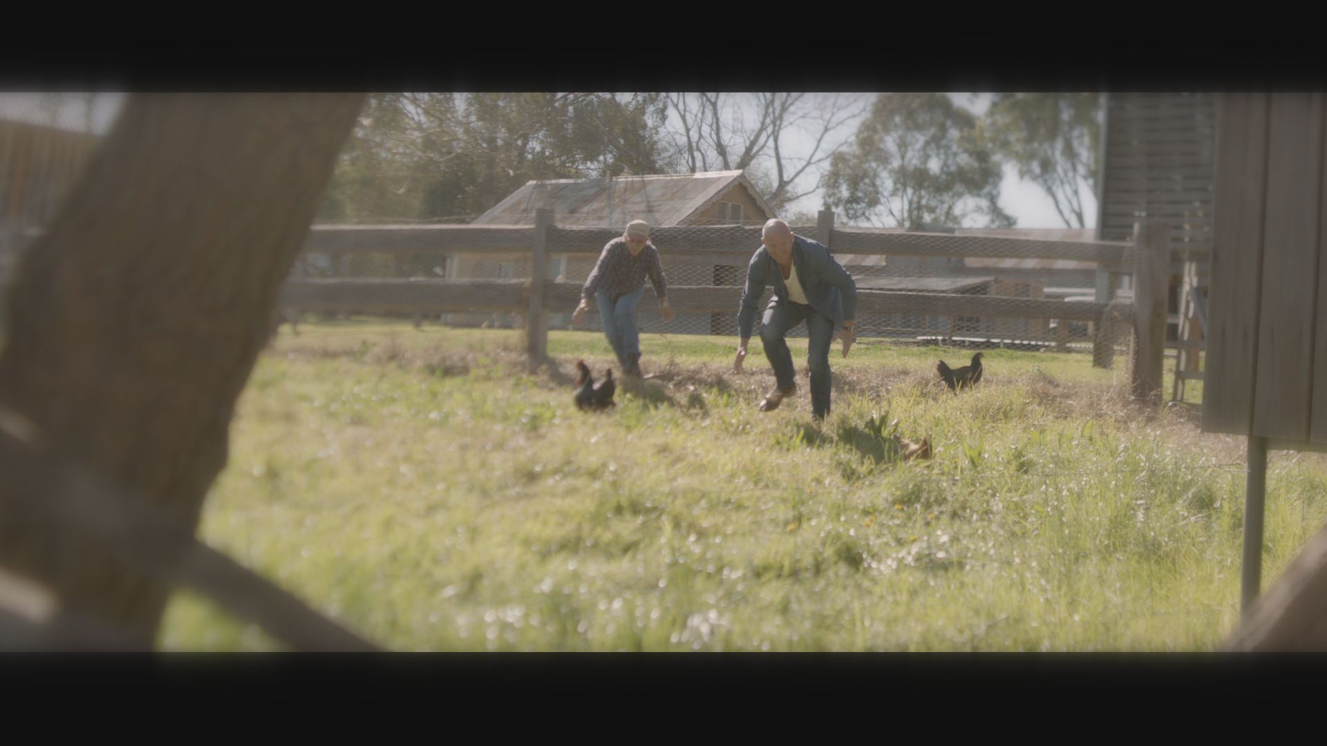 Paddock to Plate Still 2.jpg