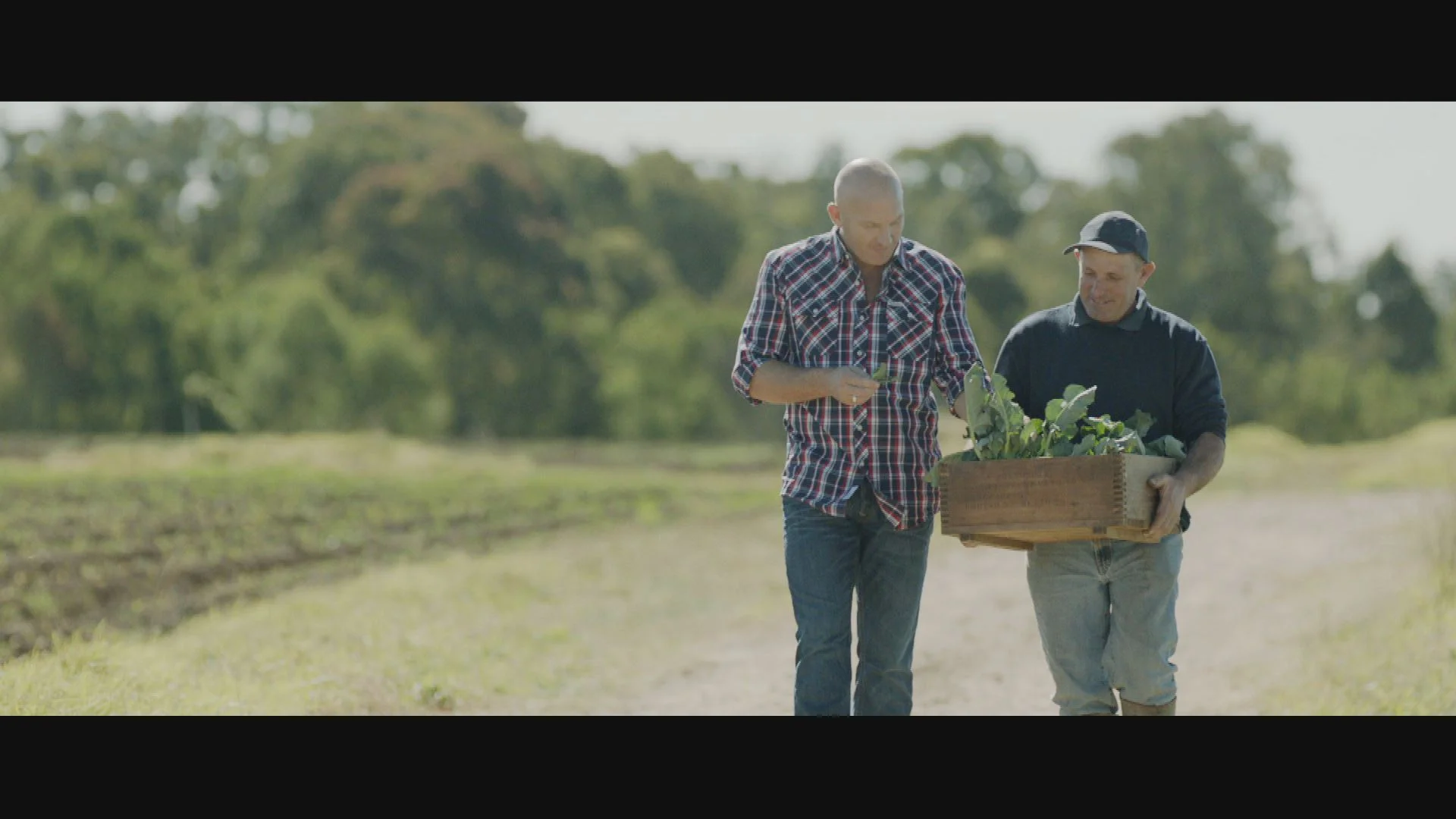 Paddock to Plate Still 5.jpg