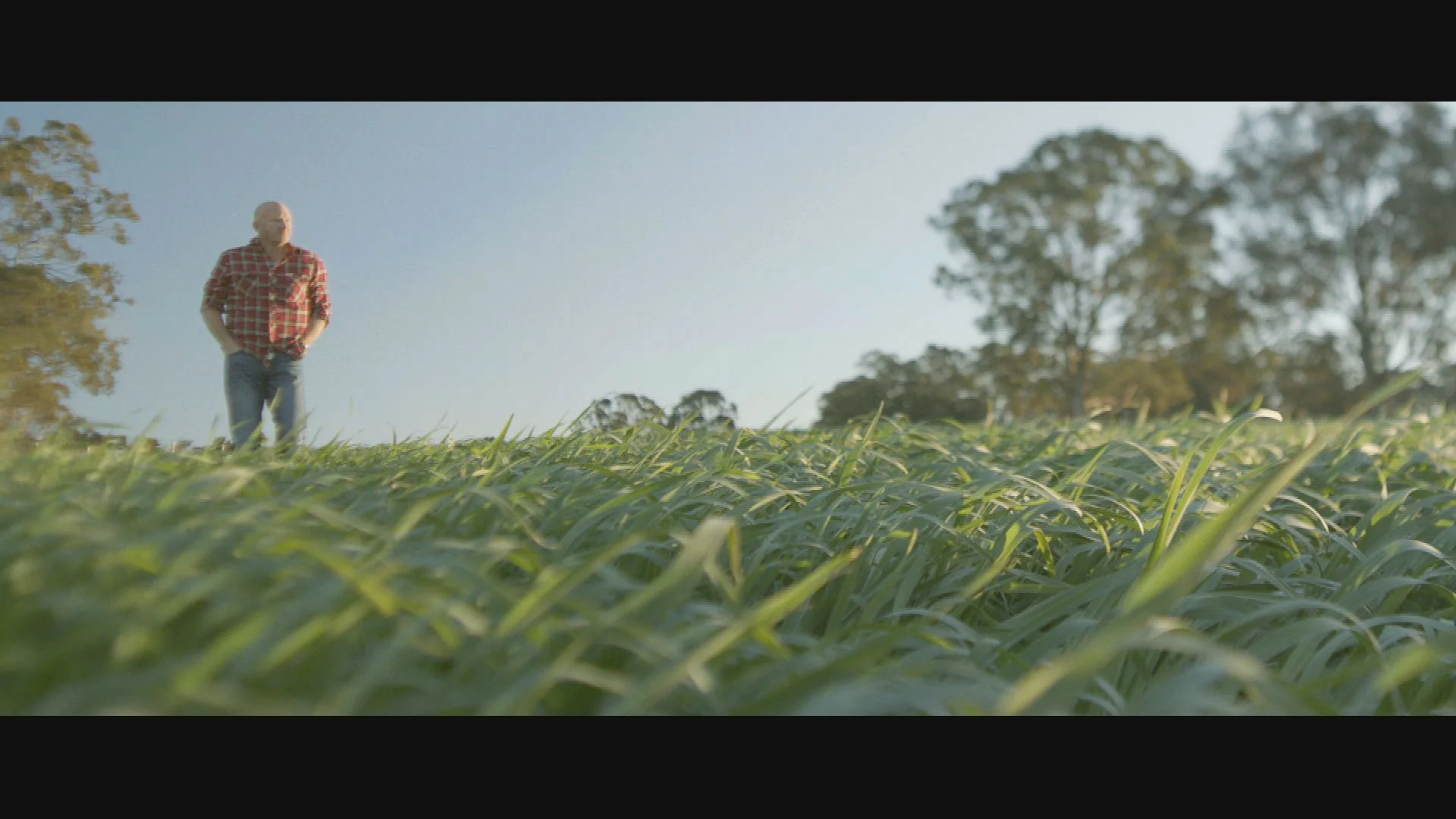 Paddock to Plate Still 8.jpg