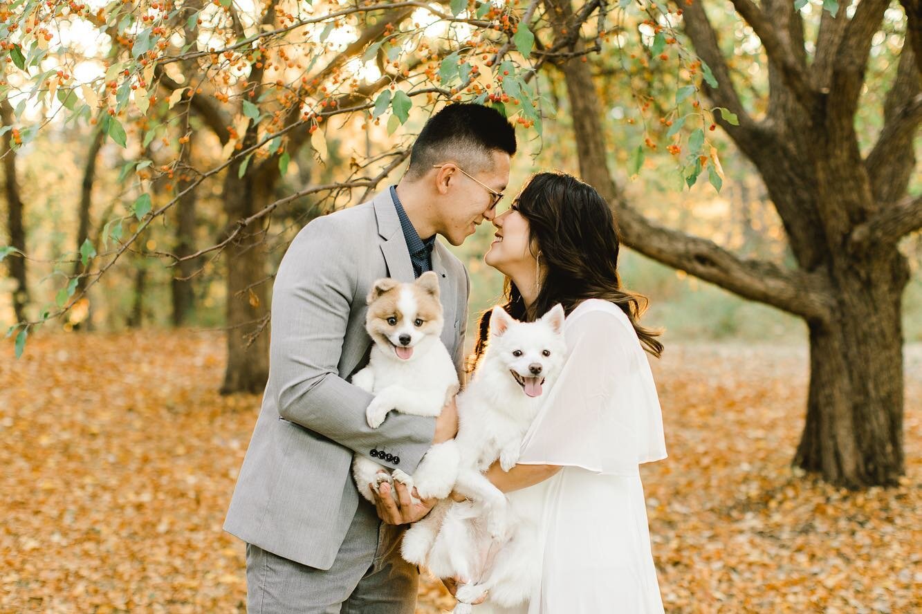 🐶🐶
Perfect weather, beautiful couple, and the two cutest puppies! 

@sophia.yj @kmht93