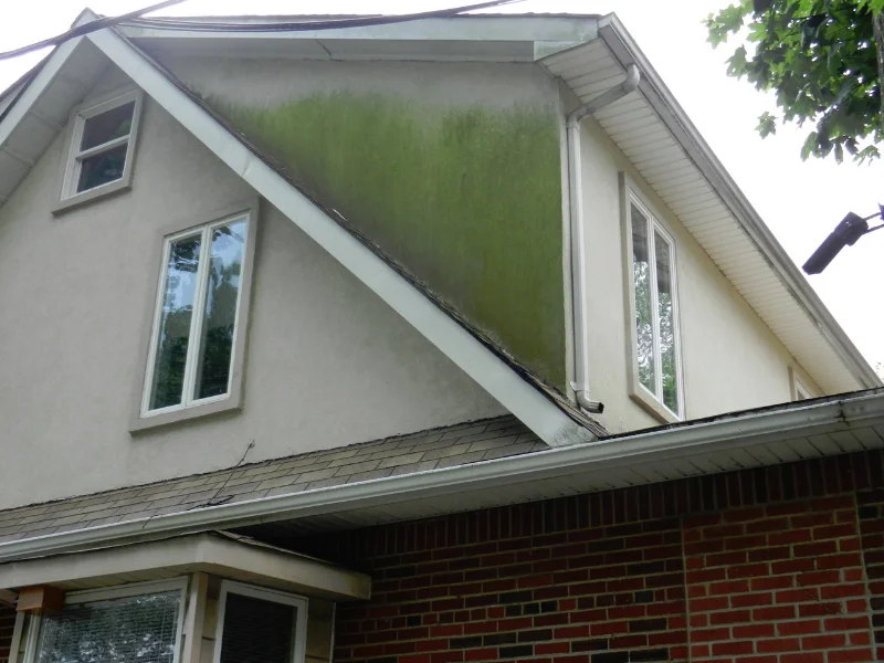 Soft stucco discoloration and mold?