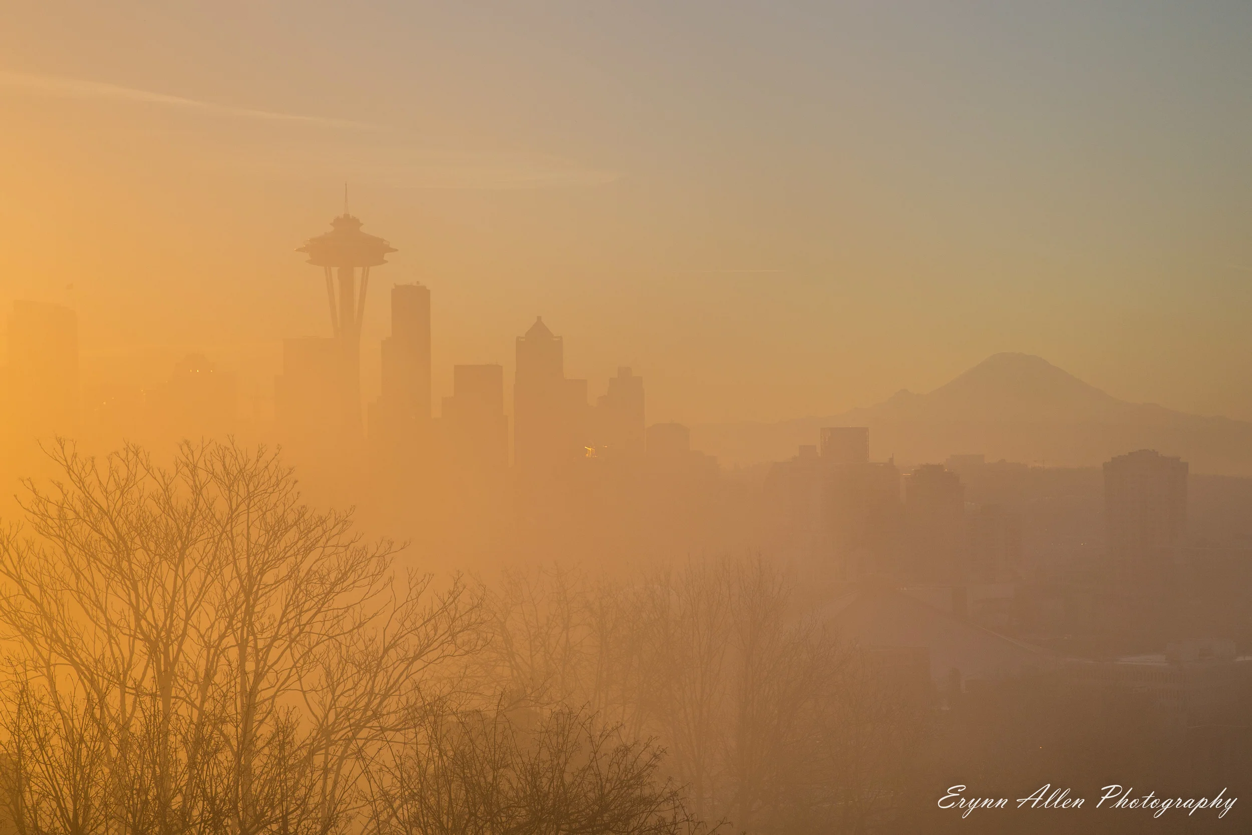 The fog begins to lift
