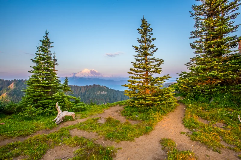 A friend who works for the forest service likes to say that this is why they maintain wilderness trails. If there isn't a defined trail, people will make many.