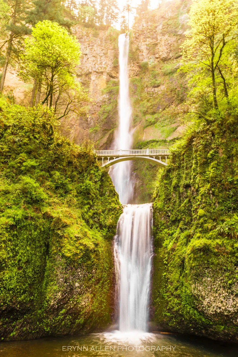 I used the railing for stability, but still thought this one turned out pretty good! Multnomah Falls sure looks like something from a fairy tale.