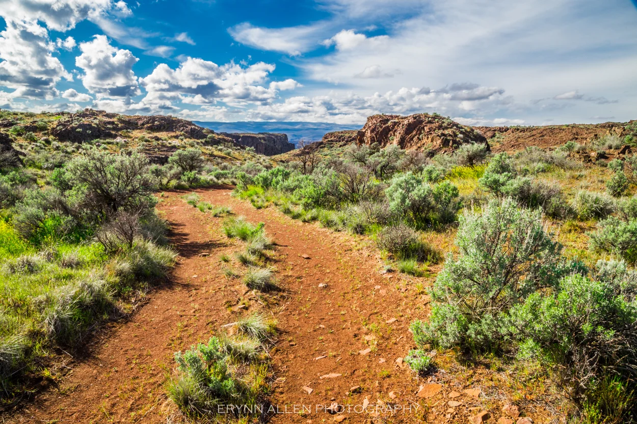 Eastern Washington often gets overlooked, but it sure is gorgeous.