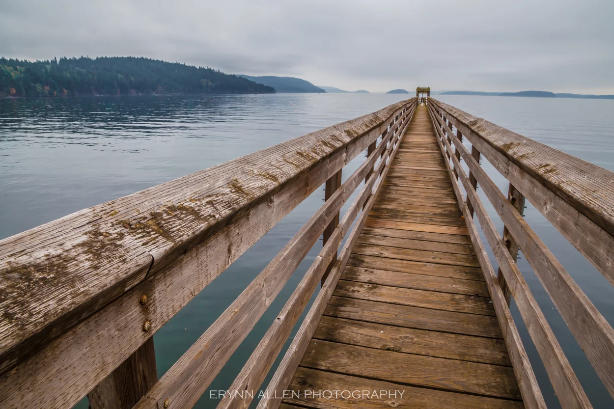 I made my husband drive down here. We were staying at Rosario Resort for our anniversary while exploring Orcas Island, and I fell in love with this dock.