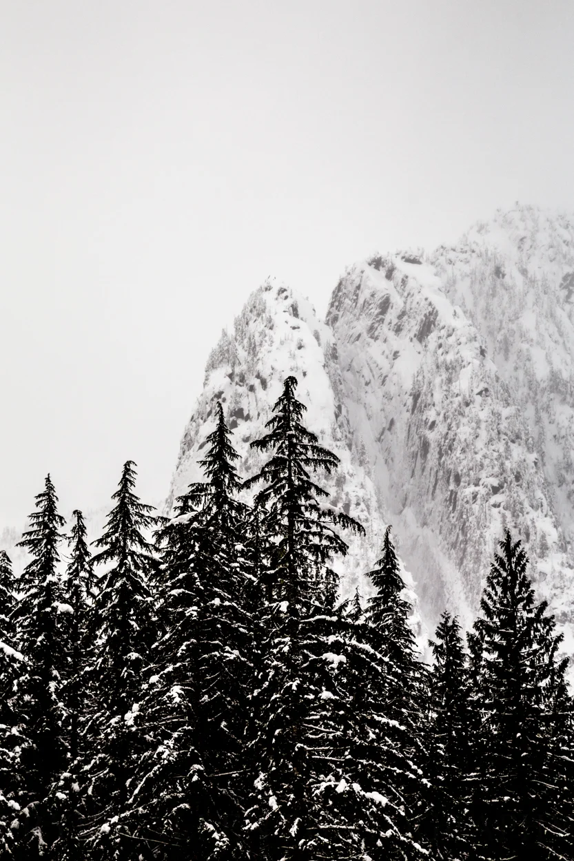 A misty portion of Big Four above contrasting trees