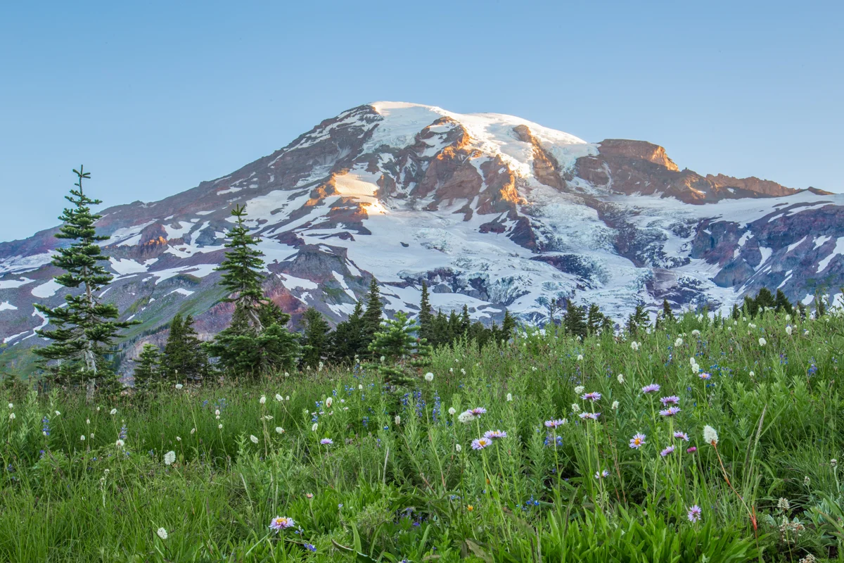 Taken from the trail