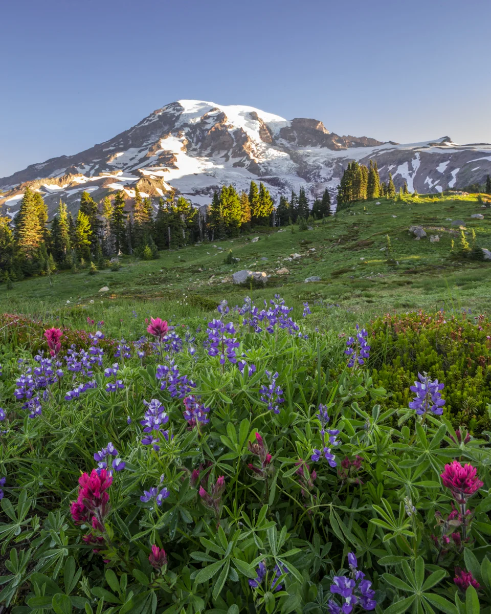 Taken from the trail