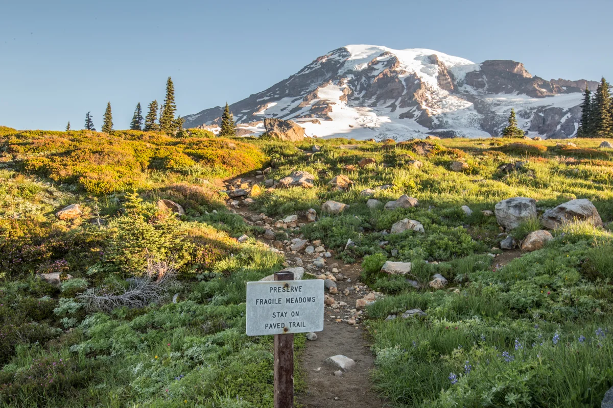 The trail in this photo was at one point plants. Sure, it's dirt now, but if people keep walking on it, the flowers will never grow back.