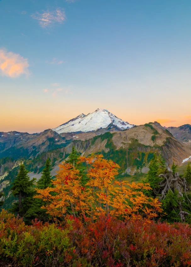 Baker Autumn