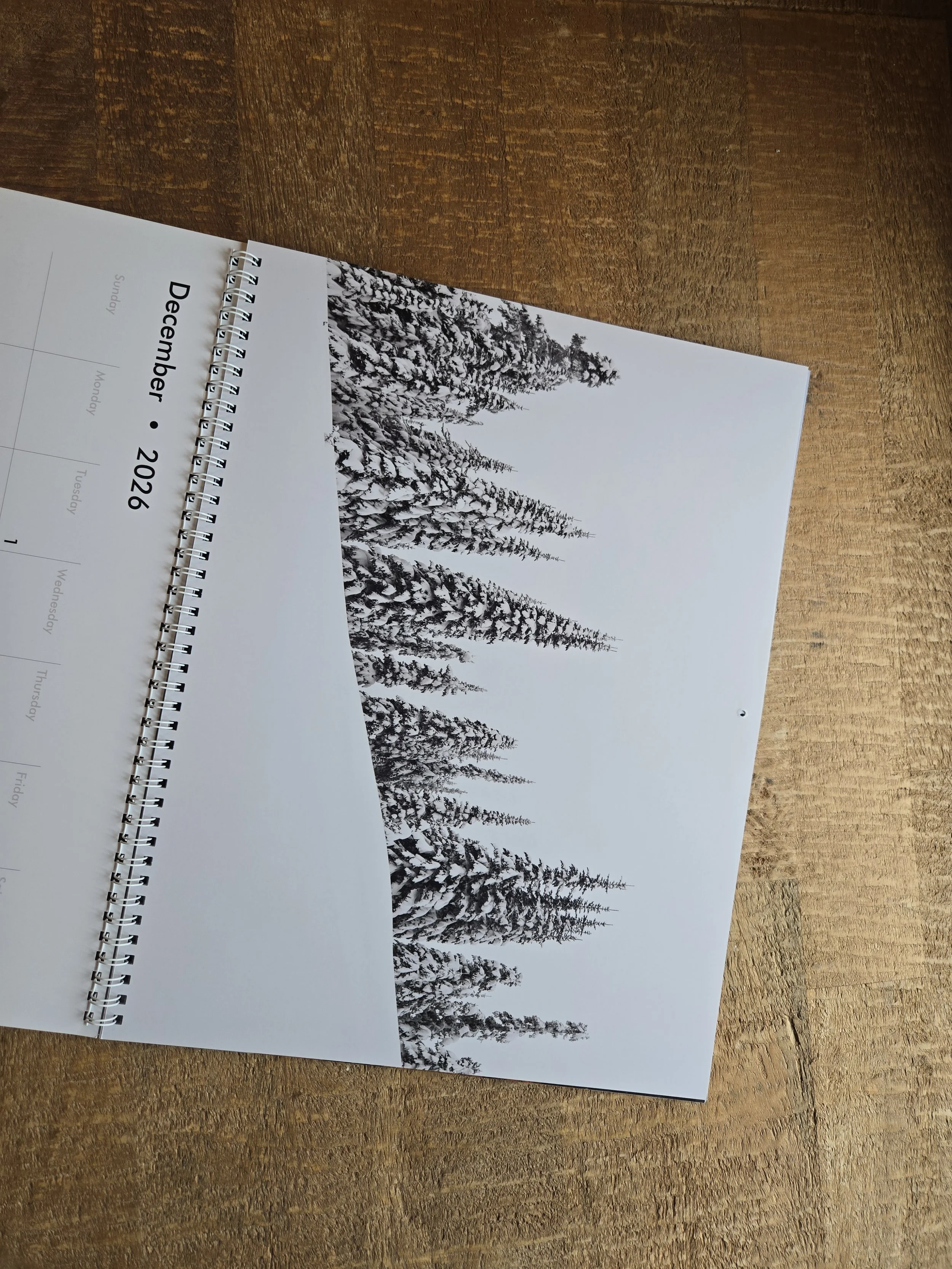 1000024050.jpg