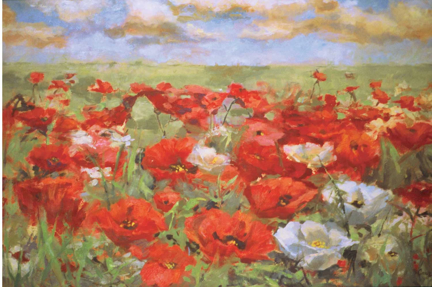 poppies-copy-sqspace-1500-2.jpg
