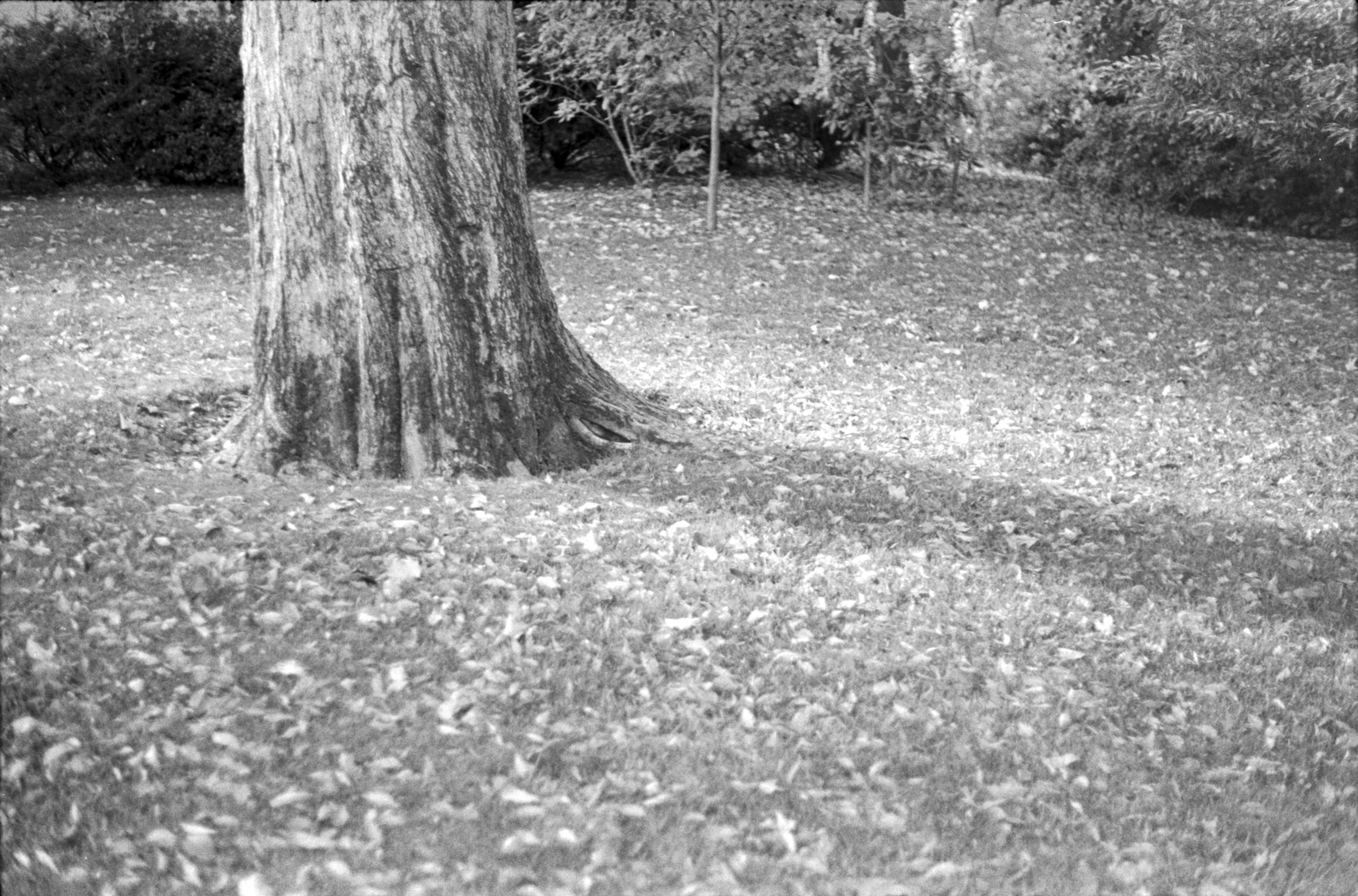 light09.jpg