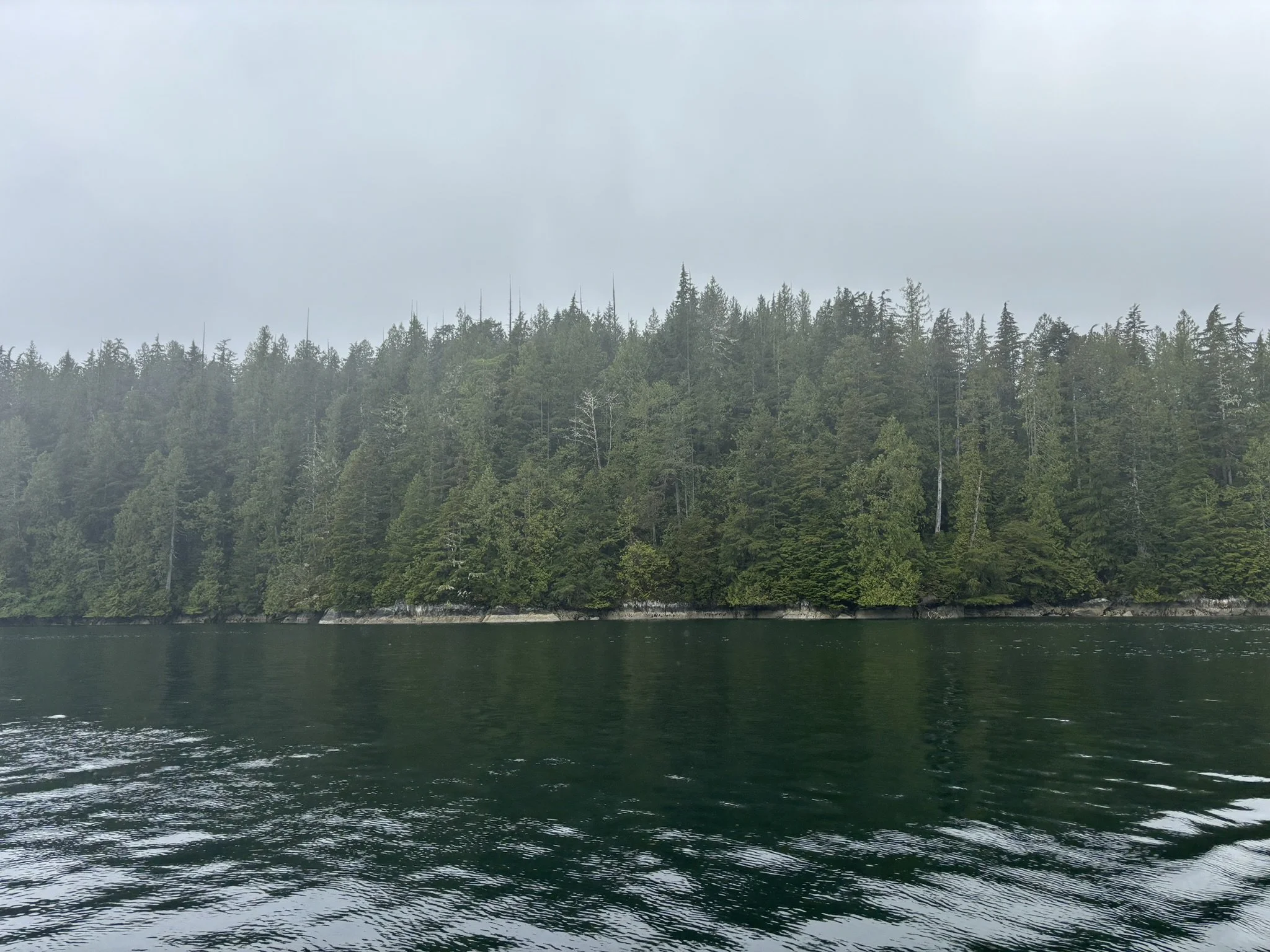 Meet the Balance Co-Lab Team Supporting the Five Nations Salmon Laws &amp; Protocols Project