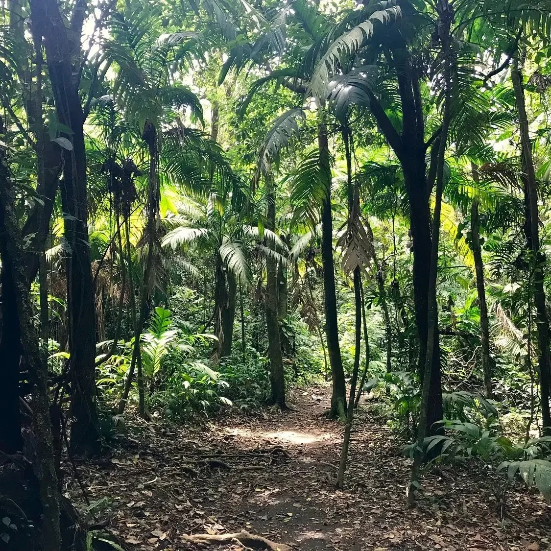 Costa Rica 7.jpeg