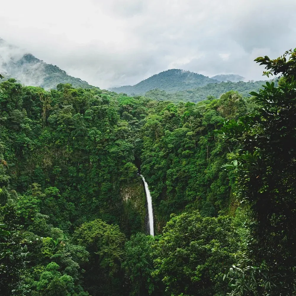 Costa Rica 2.jpeg