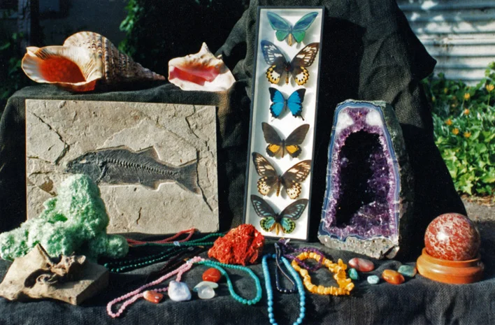 For worldwide minerals, fossils, shells and other natural history