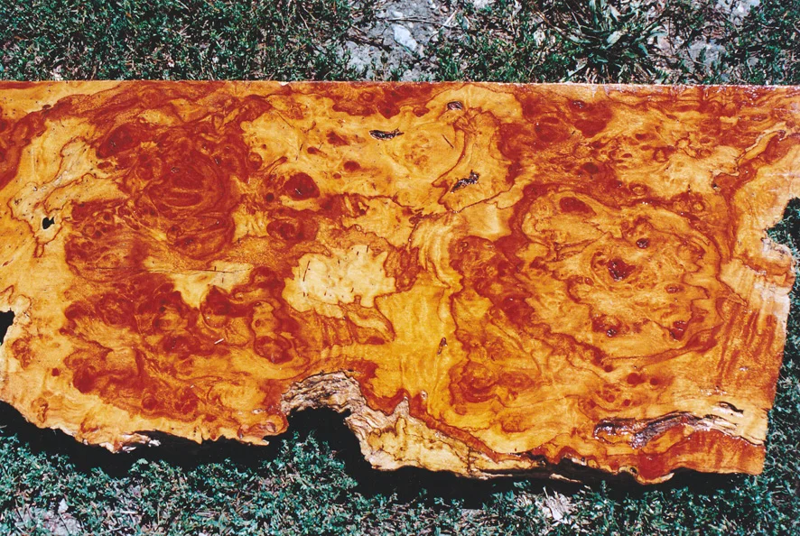 For select timber for all wood working purposes.